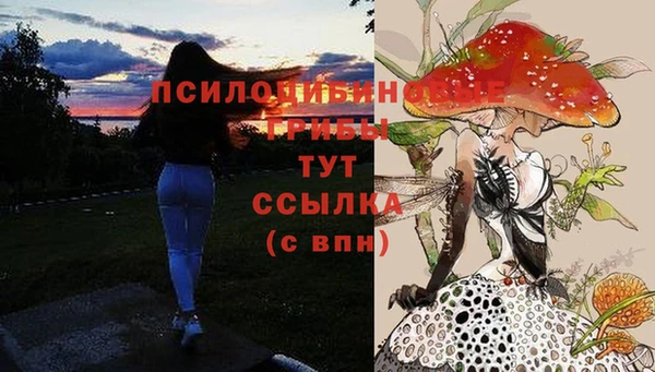 скорость Алексин